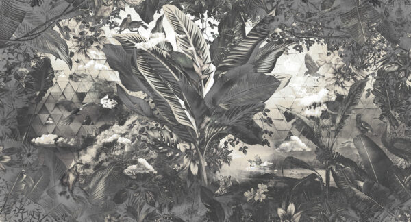 MU12084-LR Bongo Congo