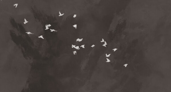 MU13051-LR Cherry Flight