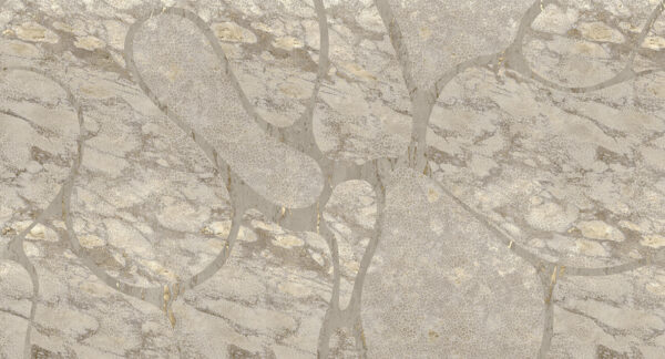 MU13055 A line in the sand